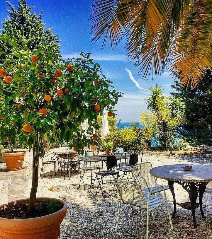 Le Due Palme Bed & Breakfast Sirolo Luaran gambar